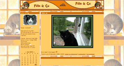 Desktop Screenshot of michele07.blog-felin.com