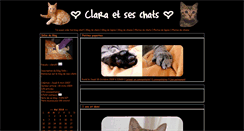 Desktop Screenshot of clara37.blog-felin.com