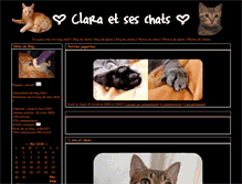 Tablet Screenshot of clara37.blog-felin.com